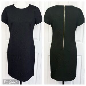 Calvin Klein Black Rose Floral Quilted Knit Short Sleeve Sheath Dress 6